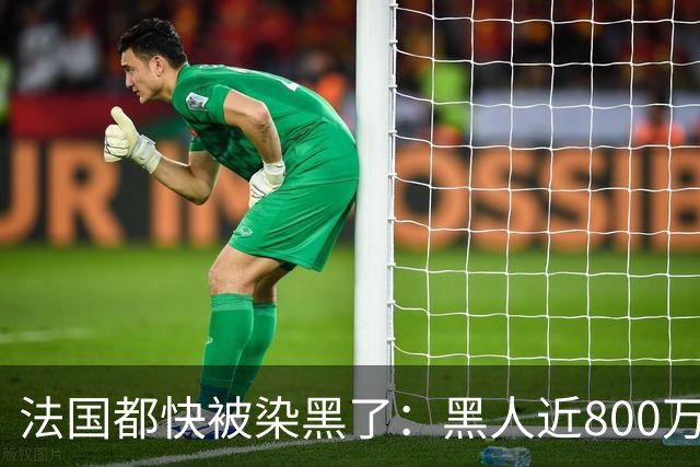 法国都快被染黑了：黑人近800万，巴黎的新生儿，黑皮肤近70%