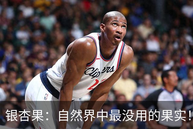 银杏果：自然界中最没用的果实！结果再多也一样沦为保护植物